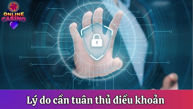 Nguyên do cần tuân thủ điều khoản trách nhiệm